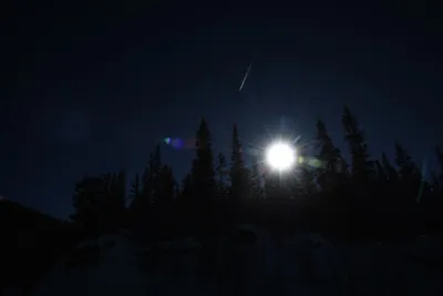 DSC_4977 (Large).JPG